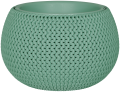 48502978.png