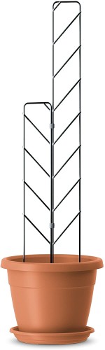 71VyLd7oRGL._AC_SL1500_.jpg