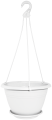 64303010.png