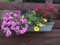 img_20210612_092151.jpg