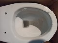 IMG_20220120_141745.jpg