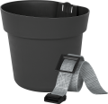 32001638_band.png