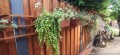 received_478045274143607.jpeg
