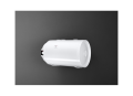 pic-00067279.png