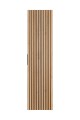 2257001.jpg