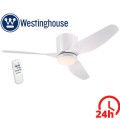 wIELKA - 2023-07-20T140331.696.jpg