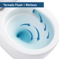 TORNADO.webp