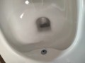 1000025060.jpg