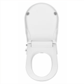 D Shape-04.png