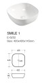 E-6252 - drawing.JPG