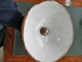 IMG_20191010_094930.jpg