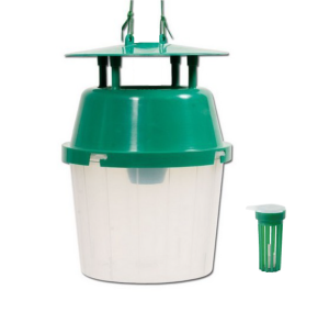 Pułapka lejkowa z feromonem na ćmę bukszpanową