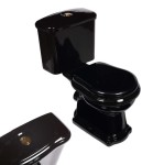 WC KOMPAKT CZARNY RETRO Z DESKĄ POZIOMY ,ZŁOTY PRZYCISK PODWÓJNY